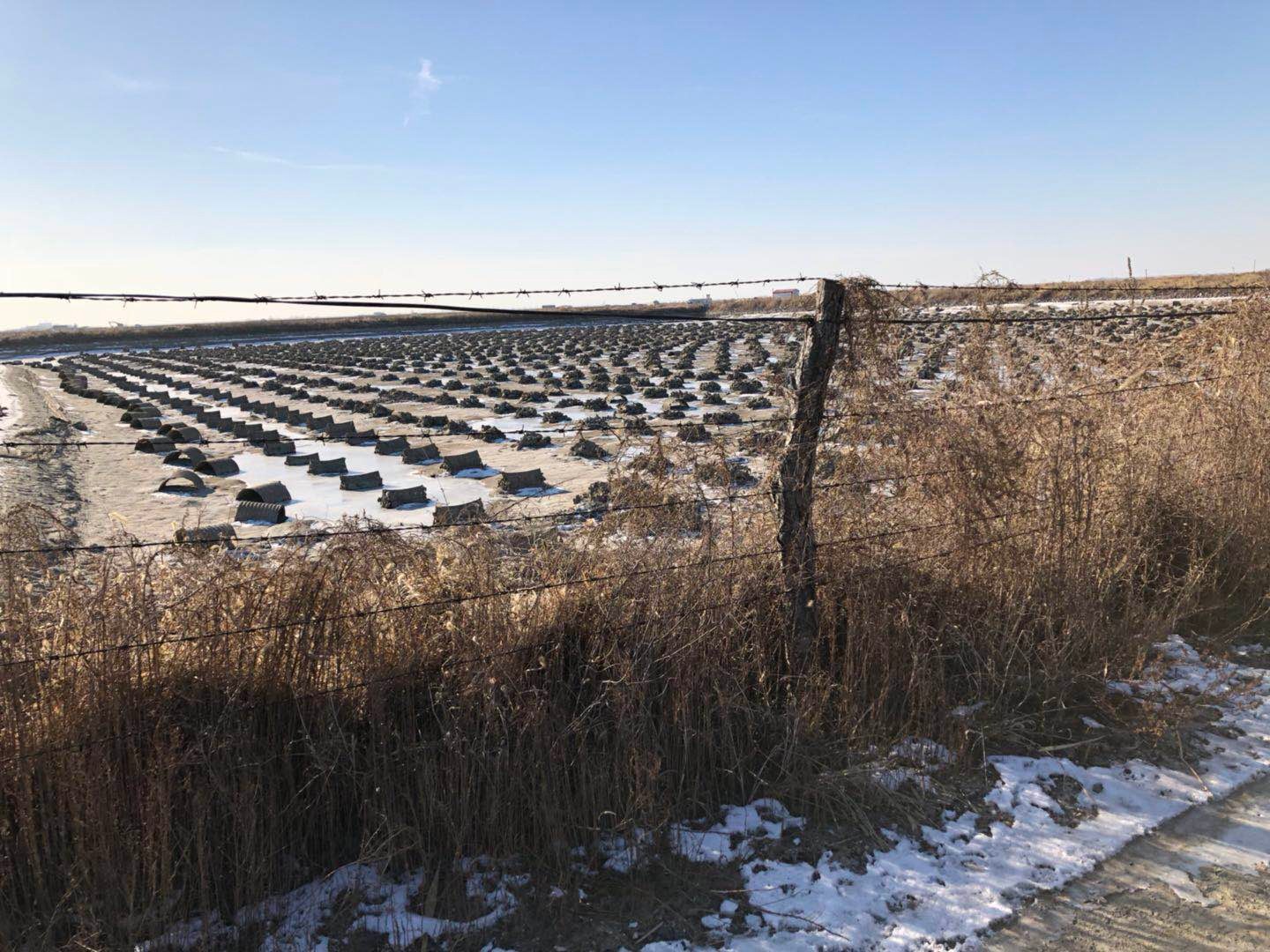 /Upload/Product/01561c5ca6bb49f38a3a5815a7c0537d.jpg?width=272&height=203&bgcolor=fff