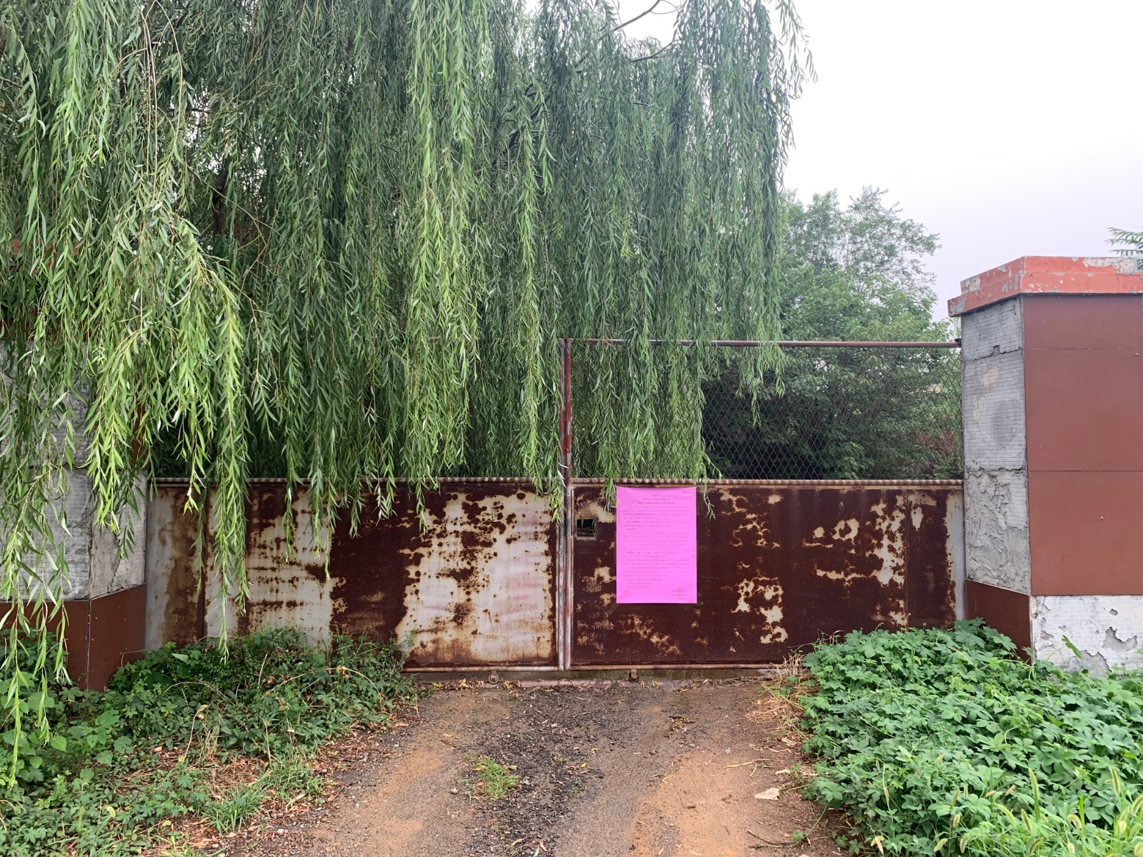 /Upload/Product/095025e252594475ad1190251722d56d.JPG?width=272&height=203&bgcolor=fff