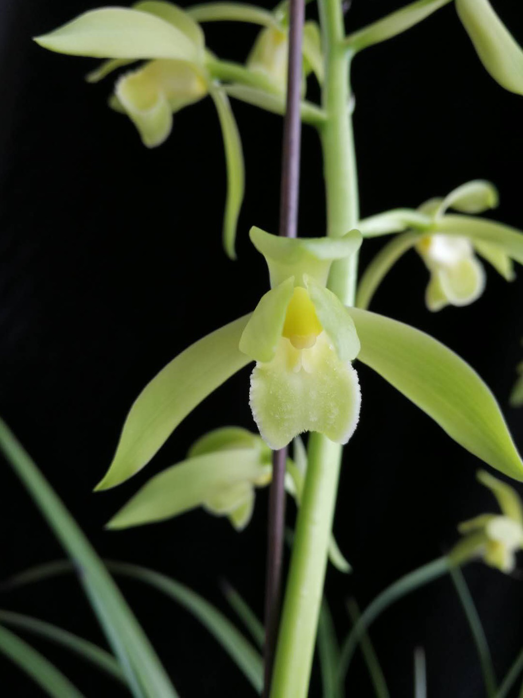 /Upload/Product/151f3802e66b497d9298f1dc2235c349.png?width=272&height=203&bgcolor=fff