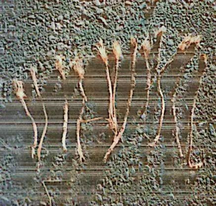 /Upload/Product/1ae82fcd53b24ada83c59b0c67433525.jpg?width=200&height=148&bgcolor=fff