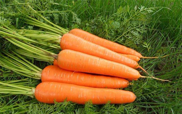 /Upload/Product/1b516dc4e1c84894a7f09d1255be884c.jpg?width=200&height=148&bgcolor=fff