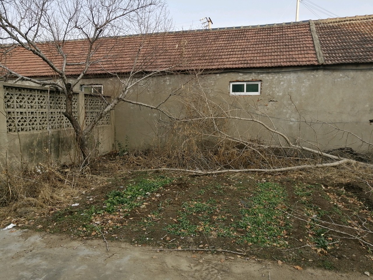 /Upload/Product/1bcf9799a2cf45fa8fe3af538f38a17b.jpg?width=272&height=203&bgcolor=fff