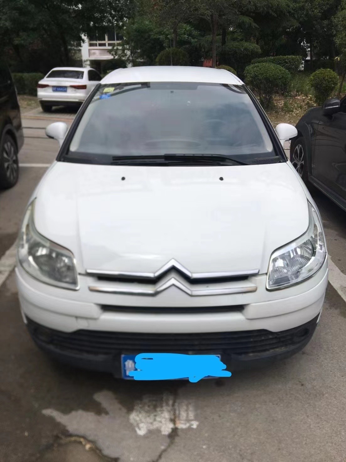 /Upload/Product/1e366a14d5c944c28361d4c04a6c1b8b.jpg?width=272&height=203&bgcolor=fff