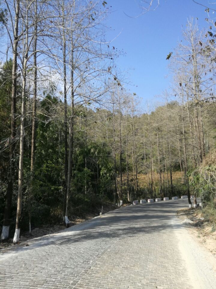 /Upload/Product/2017021700190197579453.jpg?width=272&height=203&bgcolor=fff