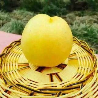 /Upload/Product/20170605322632269623262.jpg?width=272&height=203&bgcolor=fff