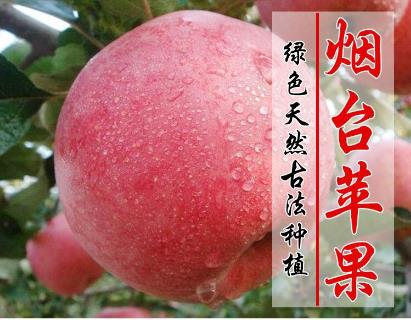 /Upload/Product/201711033049304912405118.jpg?width=272&height=203&bgcolor=fff