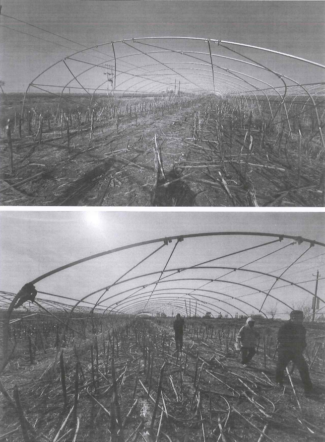 /Upload/Product/24d5c74f04f14689b24dc436d33fe171.png?width=200&height=148&bgcolor=fff