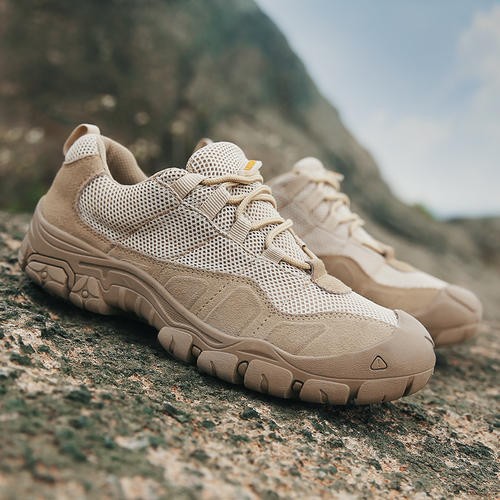 /Upload/Product/29f62e2a1e134fac9ba8e7242b266acc.jpg?width=200&height=148&bgcolor=fff