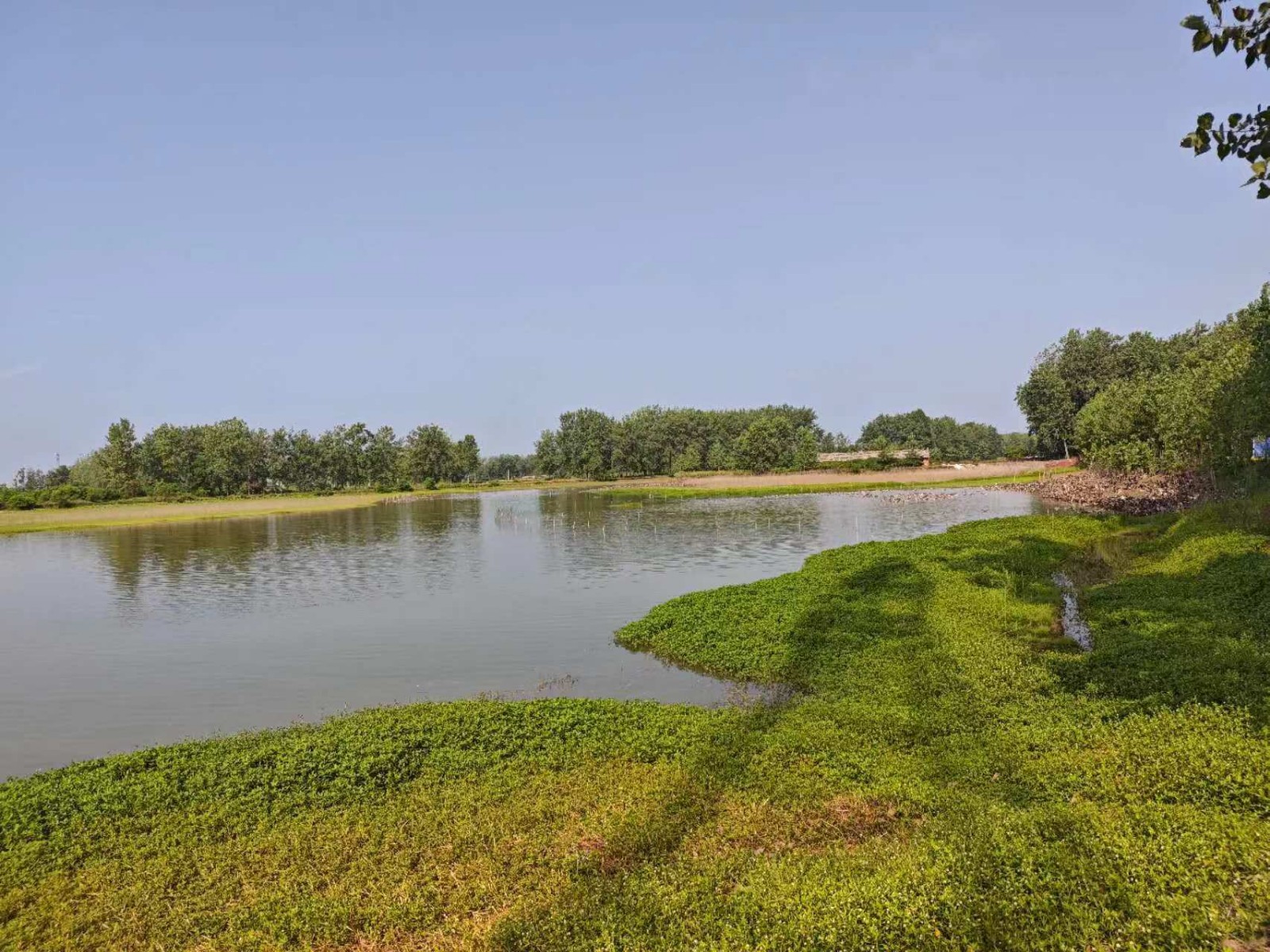 /Upload/Product/2a3fc54a926744e1884ec0391503e6e8.jpg?width=272&height=203&bgcolor=fff