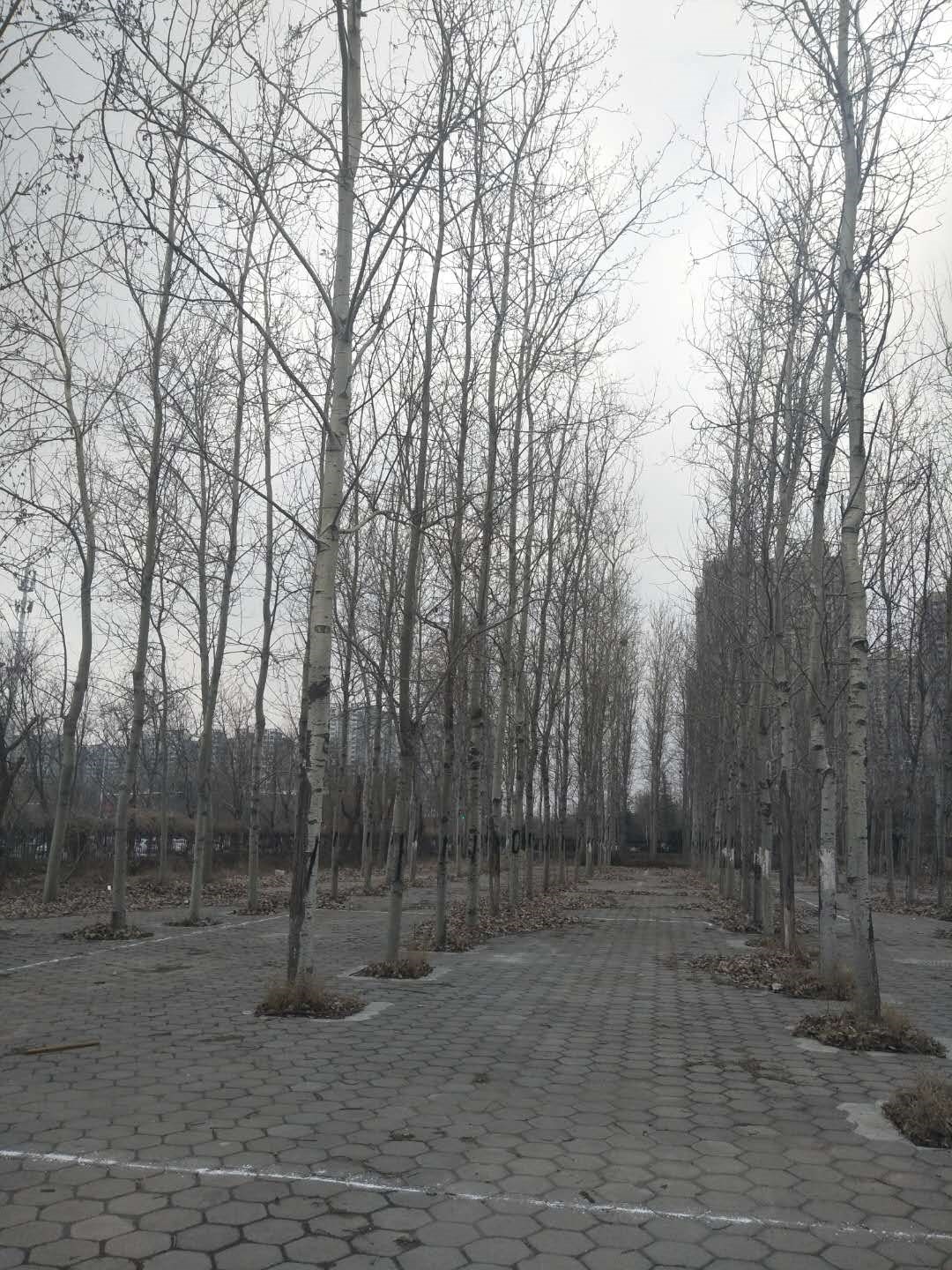 /Upload/Product/2de1fe8f8292495cb6177949317ff66d.jpg?width=272&height=203&bgcolor=fff