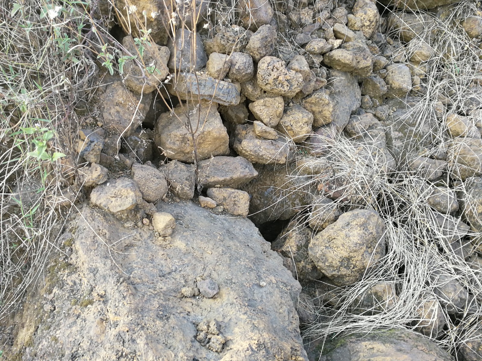 /Upload/Product/33bdfd394b9044819843c948556ad56d.jpg?width=272&height=203&bgcolor=fff