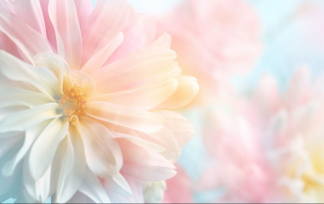 /Upload/Product/366c151ae9974a94ab8063ad83ecfc37.JPG?width=272&height=203&bgcolor=fff