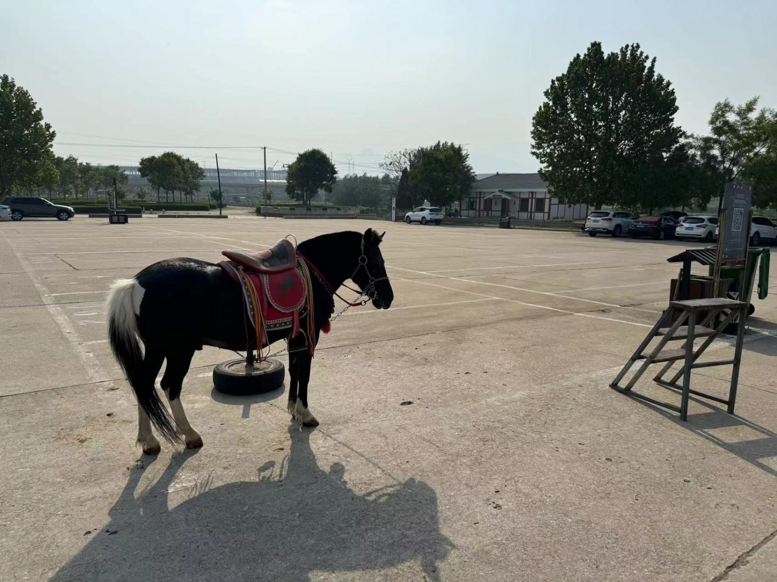 /Upload/Product/3771a208a48c4a60a22210f10c54427b.jpg?width=272&height=203&bgcolor=fff