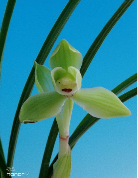 /Upload/Product/37eb652cd0f44040bd8ae8d0d3cb21f9.png?width=272&height=203&bgcolor=fff