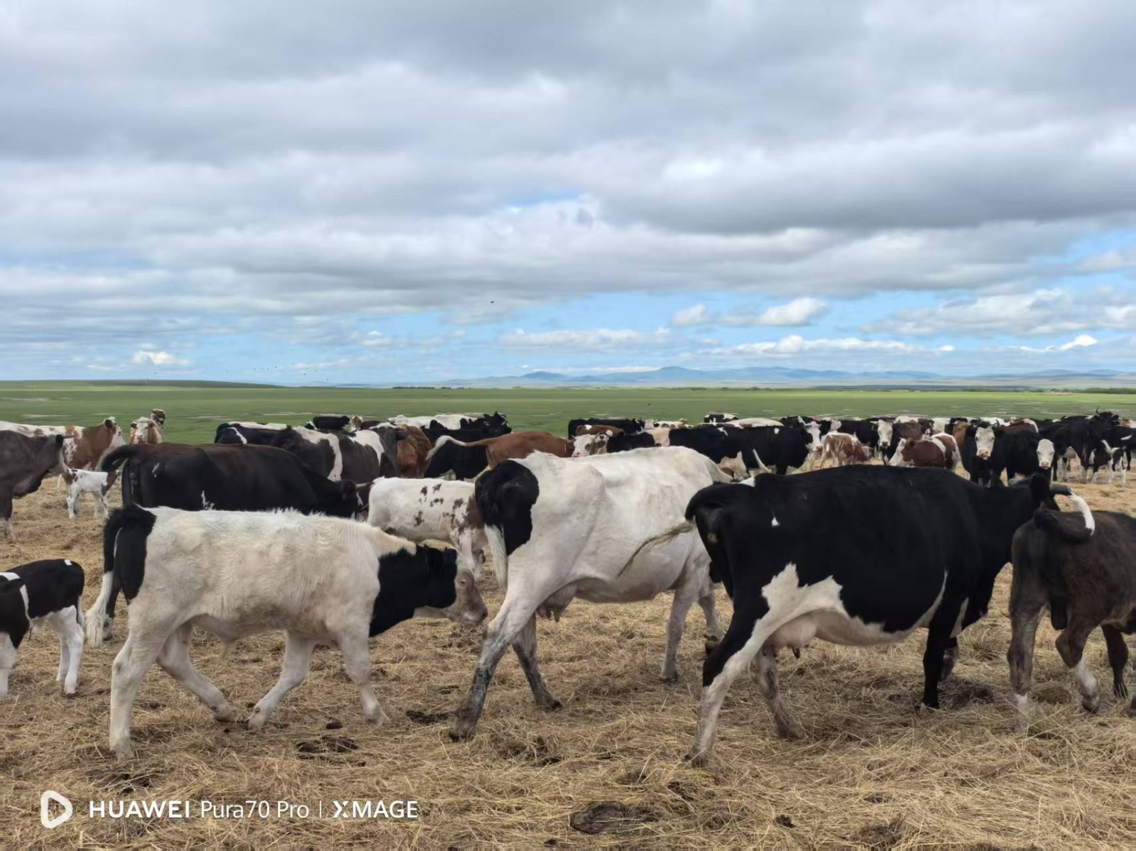 /Upload/Product/3b7d2612746843849466c23886ffbf9e.jpg?width=272&height=203&bgcolor=fff