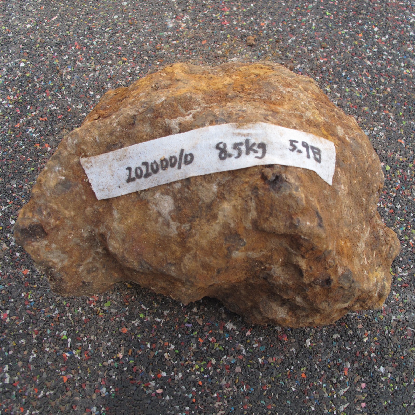 /Upload/Product/3d939a25fd8f449d8abcdfb9a8878c9f.JPG?width=272&height=203&bgcolor=fff