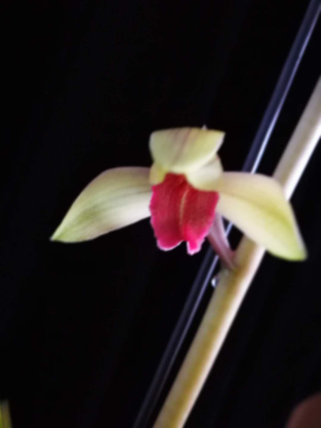 /Upload/Product/3ec61d062be74ce2825d3845d8c6b36c.png?width=272&height=203&bgcolor=fff