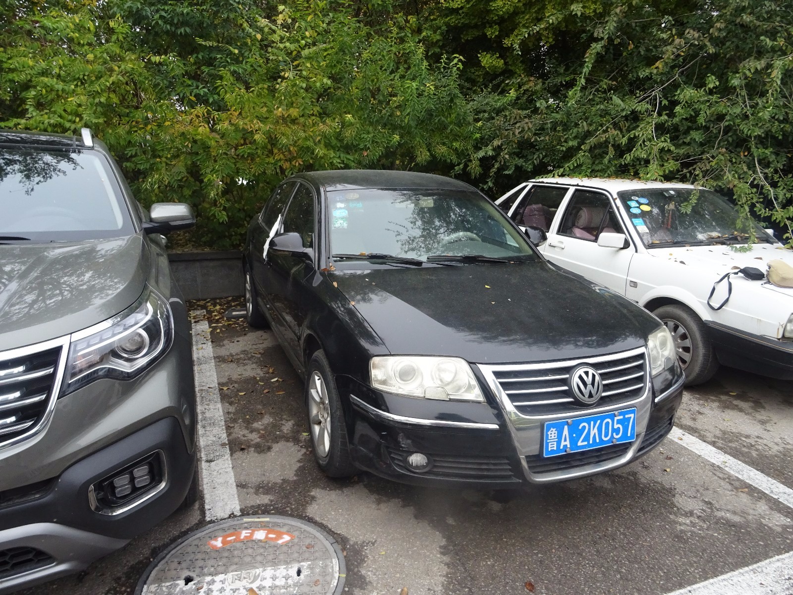 /Upload/Product/3f4a271eaa91460cb7dd16396c620956.JPG