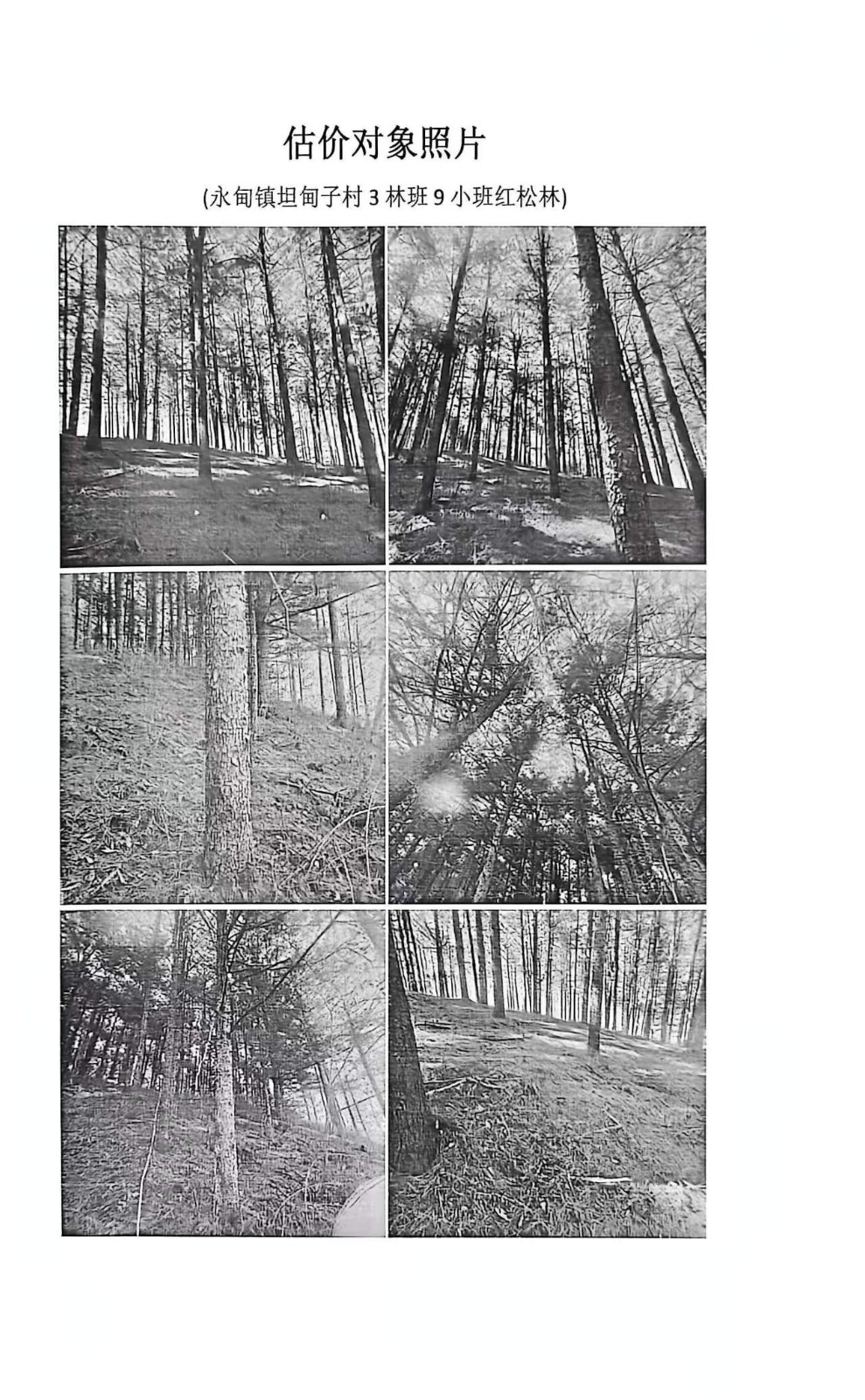 /Upload/Product/43da1aa64c08429791c4e2da0376c2ea.jpg?width=200&height=148&bgcolor=fff