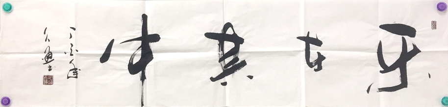 /Upload/Product/470b5f45beb64988bbe976969af5e76e.png?width=272&height=203&bgcolor=fff