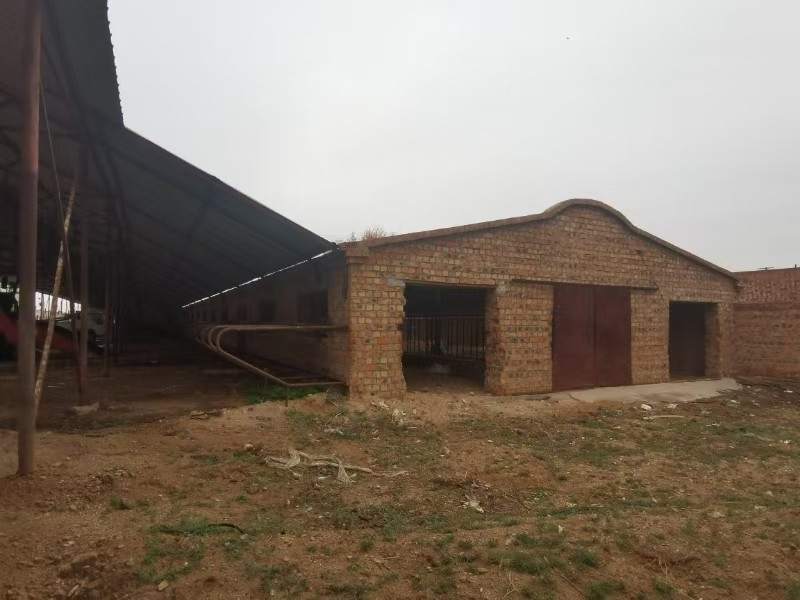 /Upload/Product/50555a5469f74358909921a66cbdabc0.jpg?width=272&height=203&bgcolor=fff