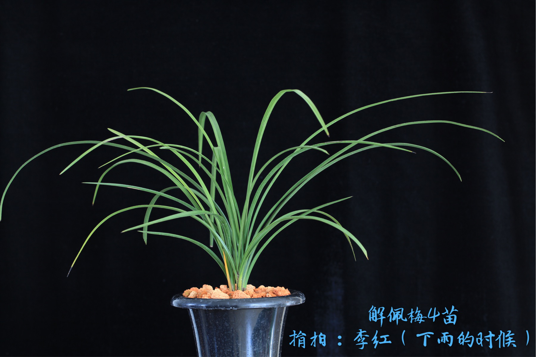 /Upload/Product/553812d366f6405aa6c476a0160e41de.png?width=272&height=203&bgcolor=fff