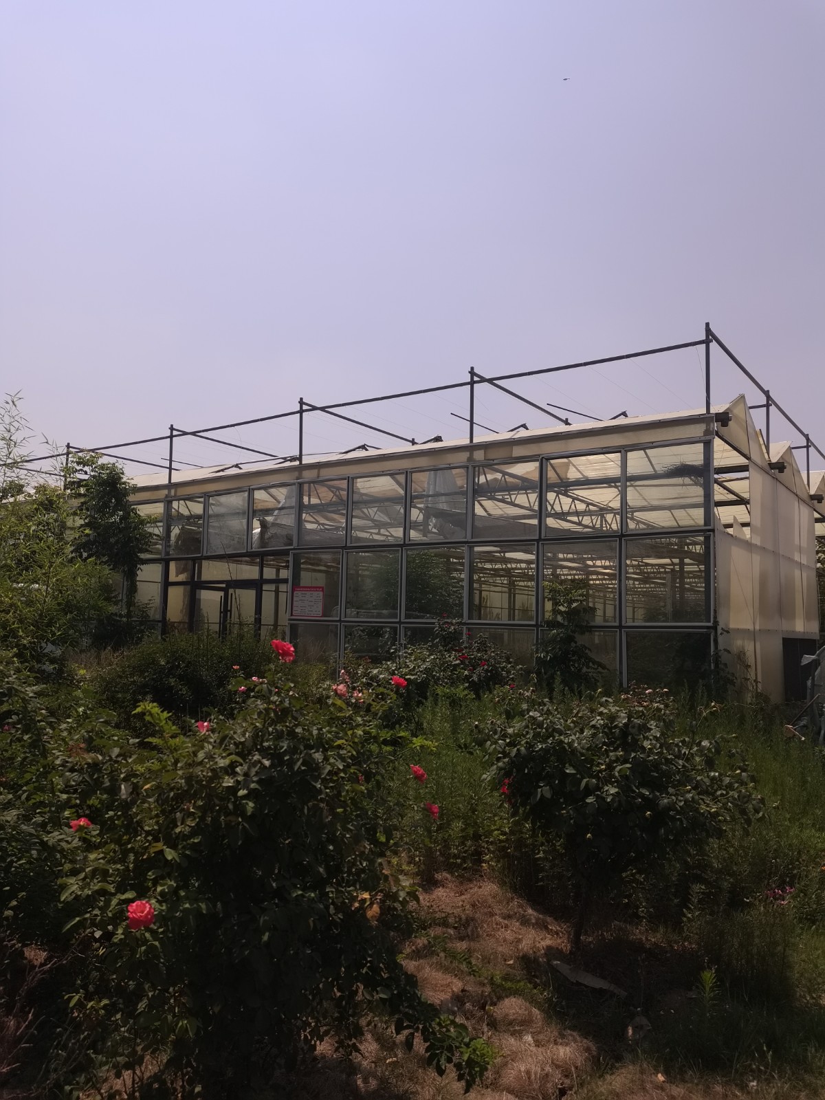 /Upload/Product/5b5638ac20ab4dac89acd826c6f7a700.jpg?width=272&height=203&bgcolor=fff