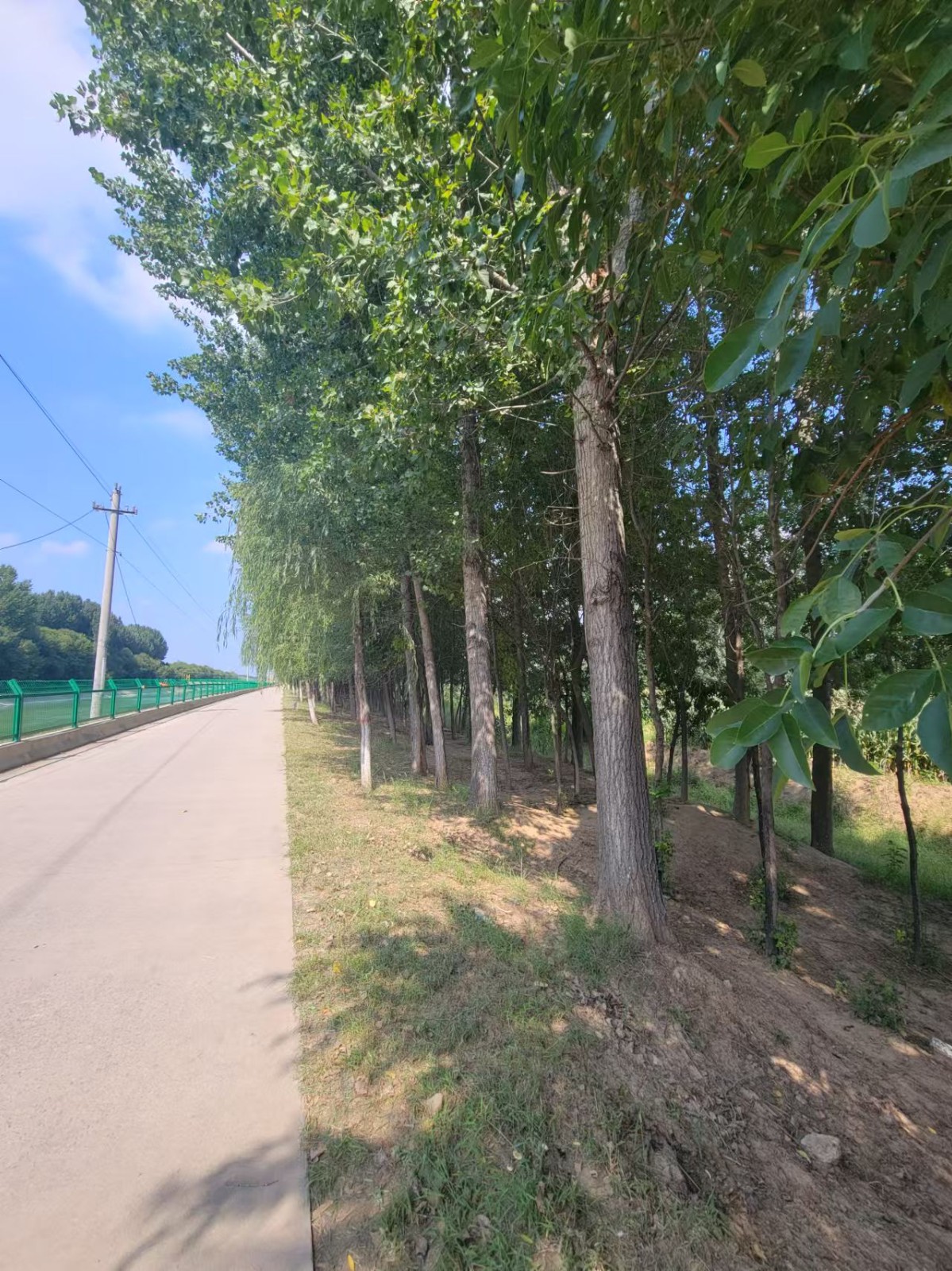 /Upload/Product/5c0a16ab68c6423a86994a825ff36b68.jpg?width=272&height=203&bgcolor=fff