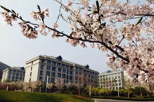 /Upload/Product/5d97046a80254576b26f4136740c4287.jpg?width=272&height=203&bgcolor=fff