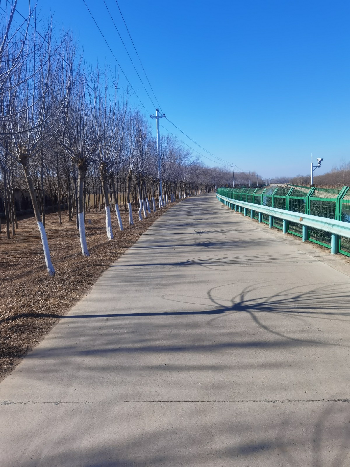 /Upload/Product/663bdf826ebc49b4aa6e520c255d39df.jpg?width=272&height=203&bgcolor=fff