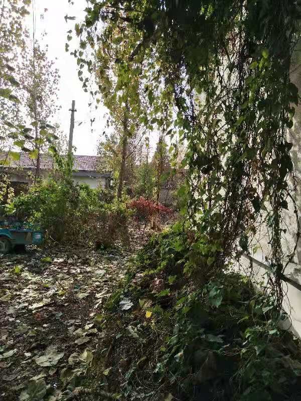 /Upload/Product/6d13c218c2e74159957caa606446a59d.jpg?width=272&height=203&bgcolor=fff