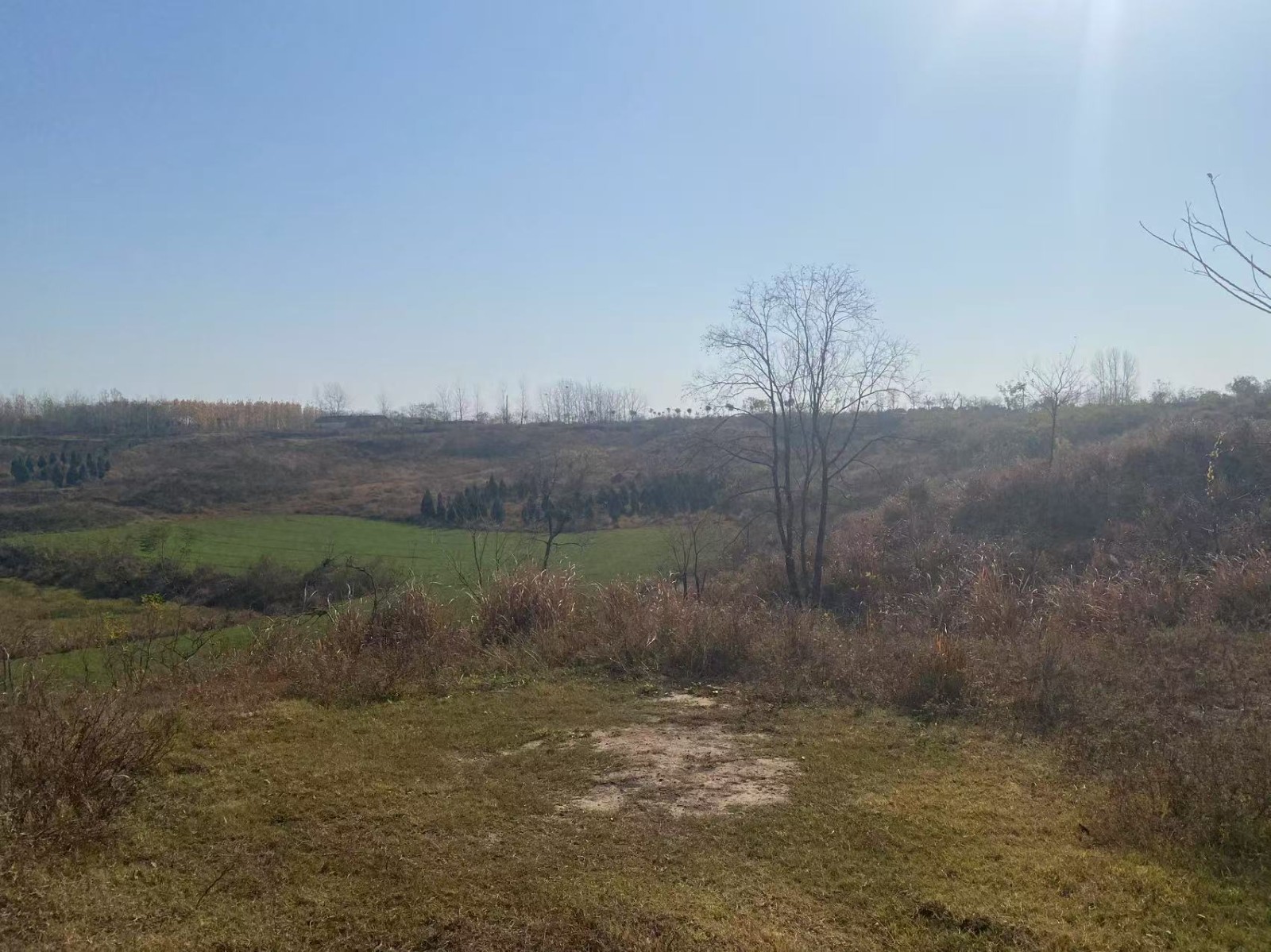 /Upload/Product/700fd43ff9ba431cbefac24f3e711094.jpg?width=200&height=148&bgcolor=fff