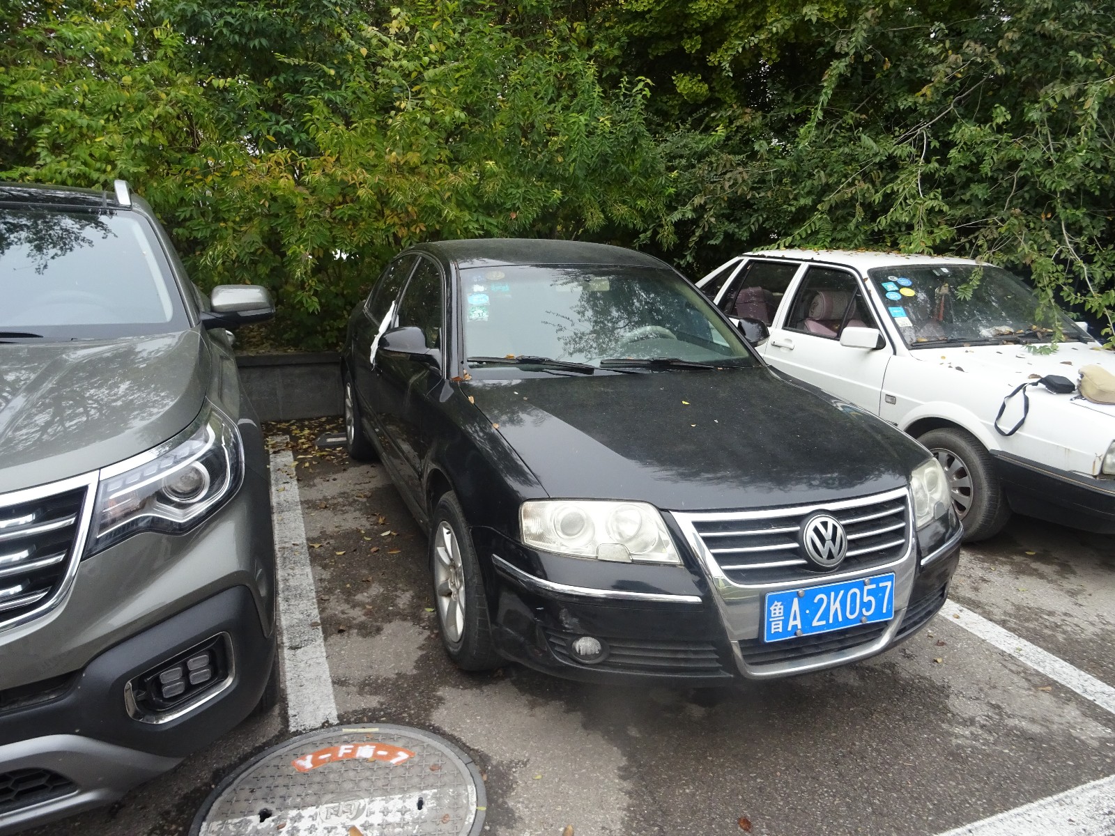 /Upload/Product/7202a91fc8914e00992c981c159b94ef.JPG?width=272&height=203&bgcolor=fff