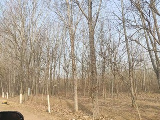 /Upload/Product/733c0701cc36475e981c87e67ba3e0a9.jpg?width=272&height=203&bgcolor=fff