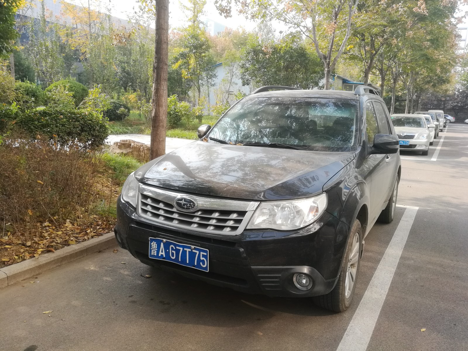 /Upload/Product/79bfab6d8dd84a07860f839f83b83a39.jpg?width=272&height=203&bgcolor=fff