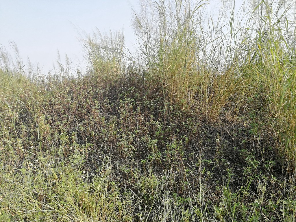 /Upload/Product/79d5c7ddc3314be79e65f7cad7c6c4b4.jpg?width=272&height=203&bgcolor=fff