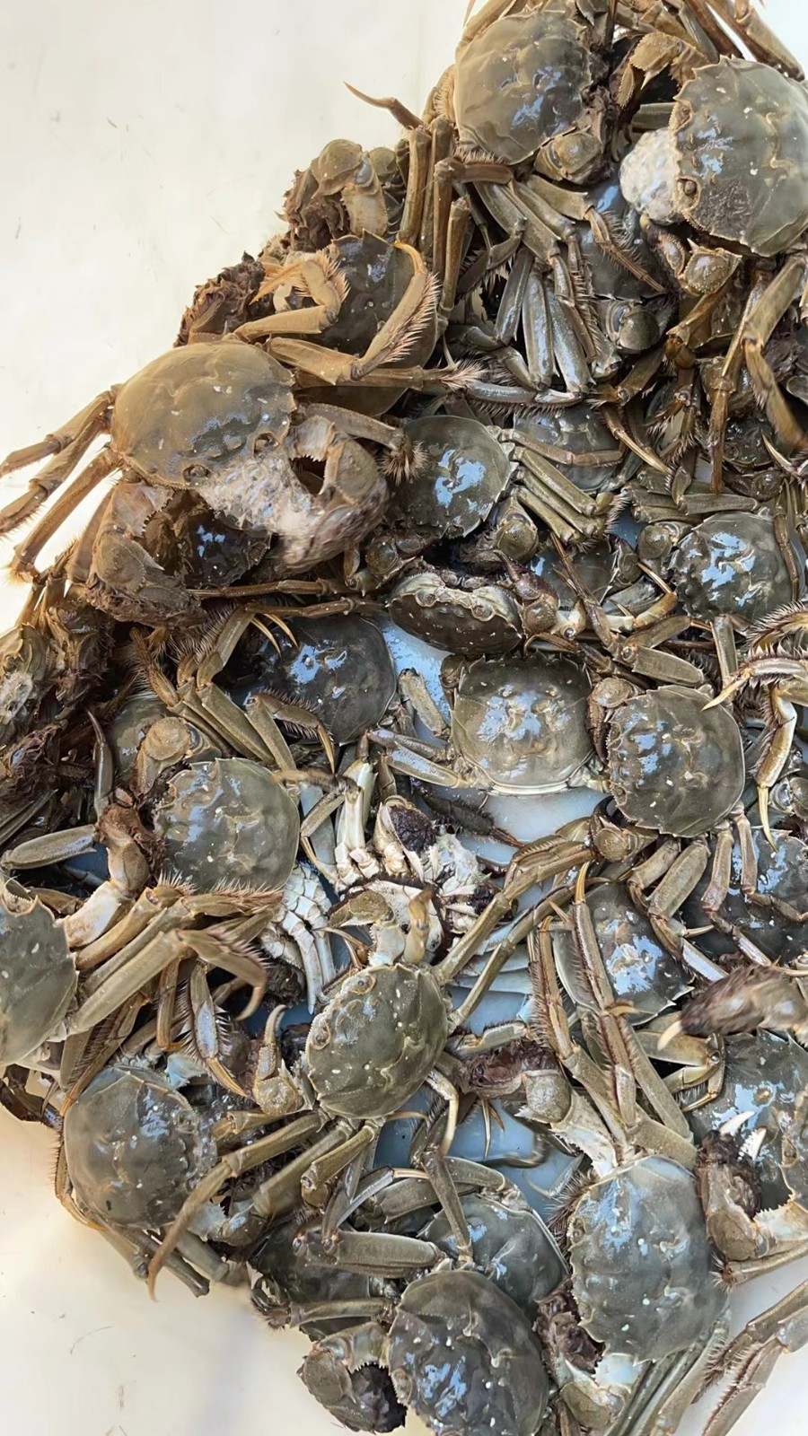 /Upload/Product/7b2e69215b7845a78c9a77718fd7a191.jpg?width=272&height=203&bgcolor=fff