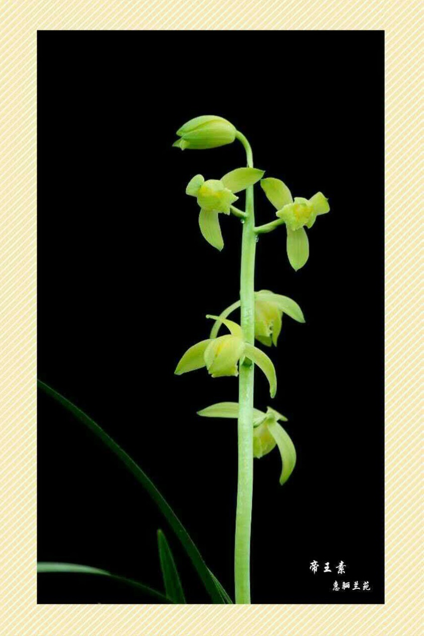 /Upload/Product/7ecfdd2935d348159f878ea96cd64193.png?width=272&height=203&bgcolor=fff