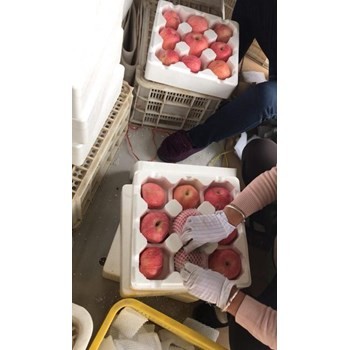 /Upload/Product/850e0458f87a45099605aa9dffcbbbab.jpg?width=272&height=203&bgcolor=fff