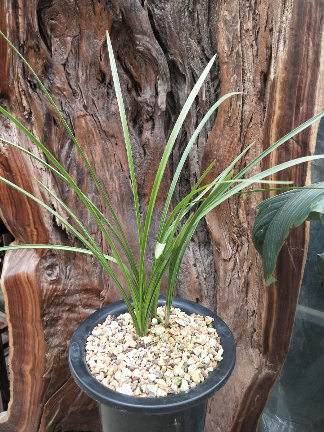 /Upload/Product/8600afa08a844a87976f89dbc4543312.png?width=272&height=203&bgcolor=fff