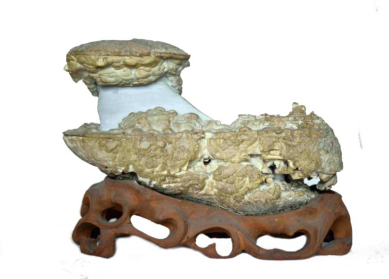 /Upload/Product/87358ef23795469abd2f6e4c83be4d56.png?width=272&height=203&bgcolor=fff