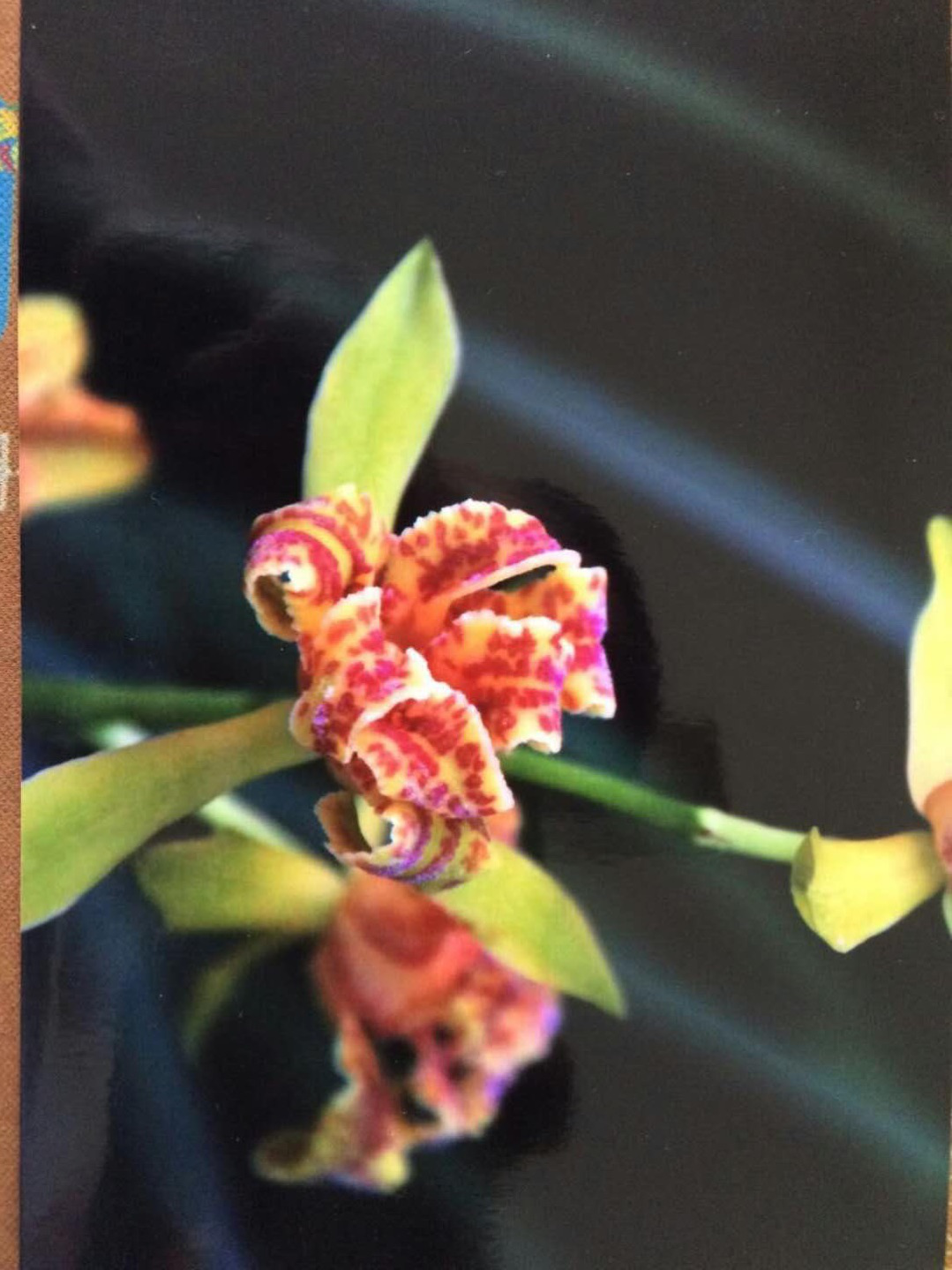 /Upload/Product/87a2d56be7c7427e8d5b643c8c605efd.png?width=272&height=203&bgcolor=fff