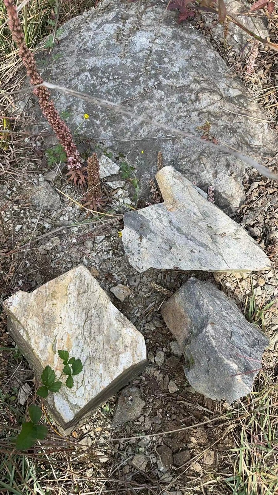 /Upload/Product/8a349e344cb545e4862ea051db4ef42b.jpg?width=272&height=203&bgcolor=fff