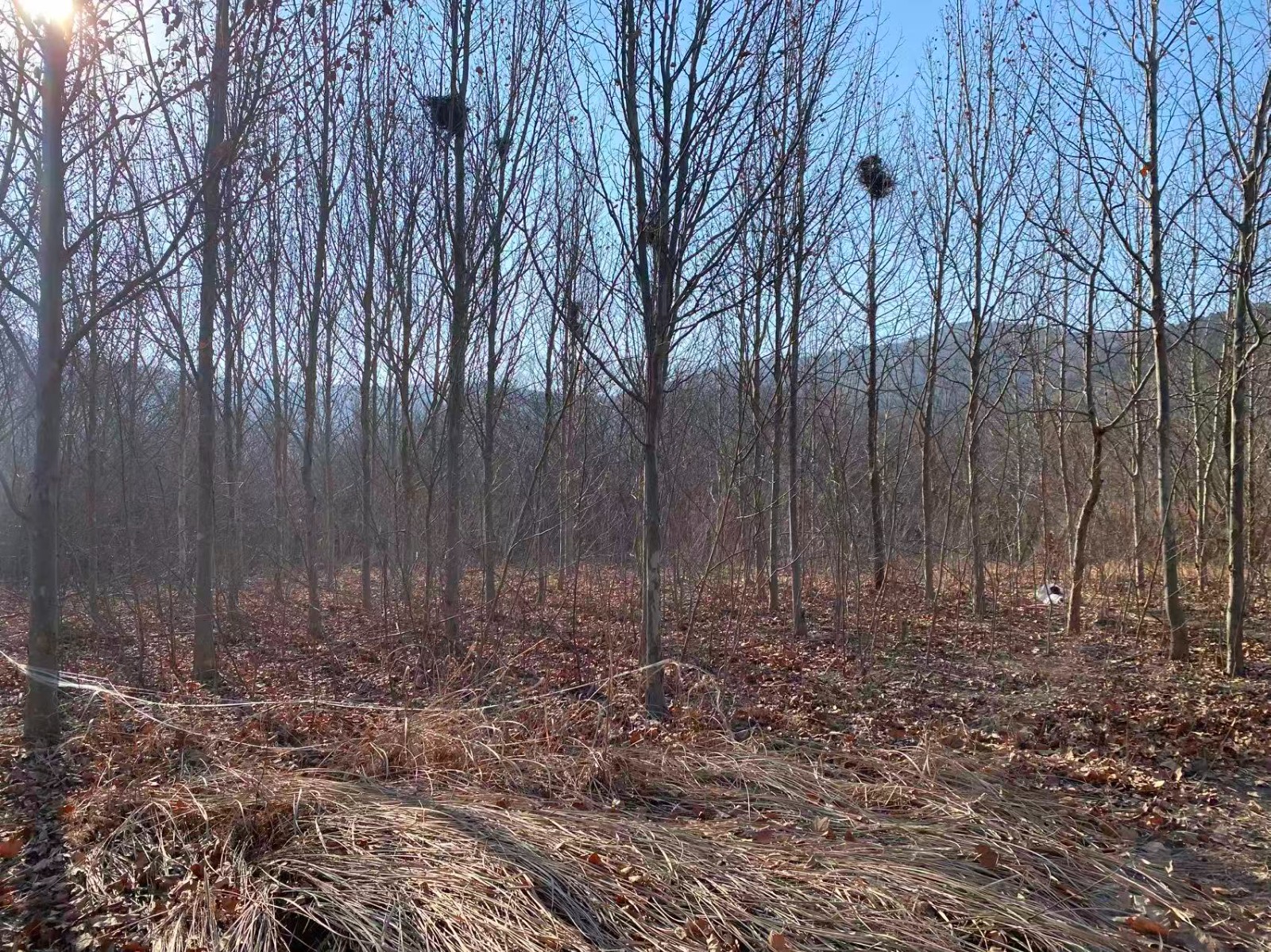 /Upload/Product/8ba94870b38f42febc5530db63e00582.jpg?width=272&height=203&bgcolor=fff