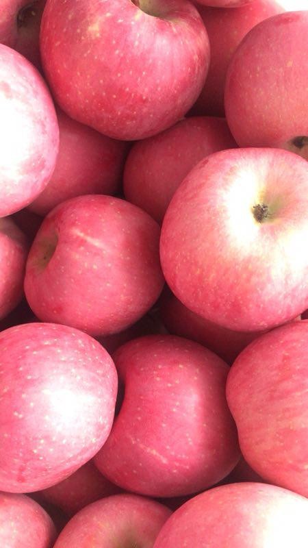 /Upload/Product/8d365cd675424633b02882f1736b142b.jpg?width=272&height=203&bgcolor=fff