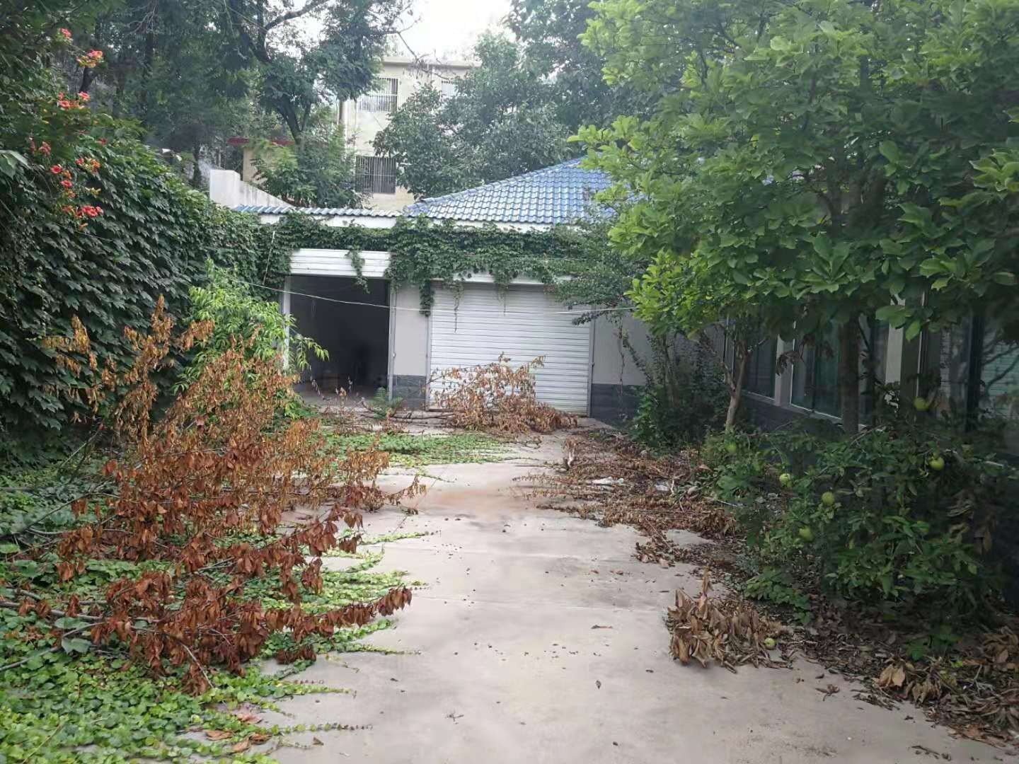 /Upload/Product/8e2ffd5b9531418390cf6ee906771914.jpg?width=272&height=203&bgcolor=fff