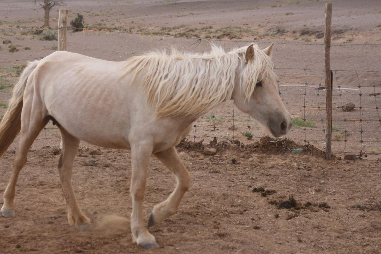 /Upload/Product/92bf65e3da814e97a432a7c756088359.png?width=272&height=203&bgcolor=fff