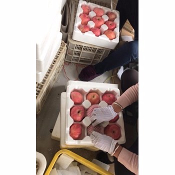 /Upload/Product/92dc4960d8574bddb7566e94433dd443.jpg?width=272&height=203&bgcolor=fff