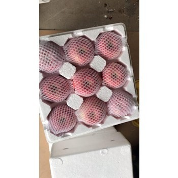 /Upload/Product/930cbe2bee604a56b5e0fc3240517323.jpg?width=272&height=203&bgcolor=fff