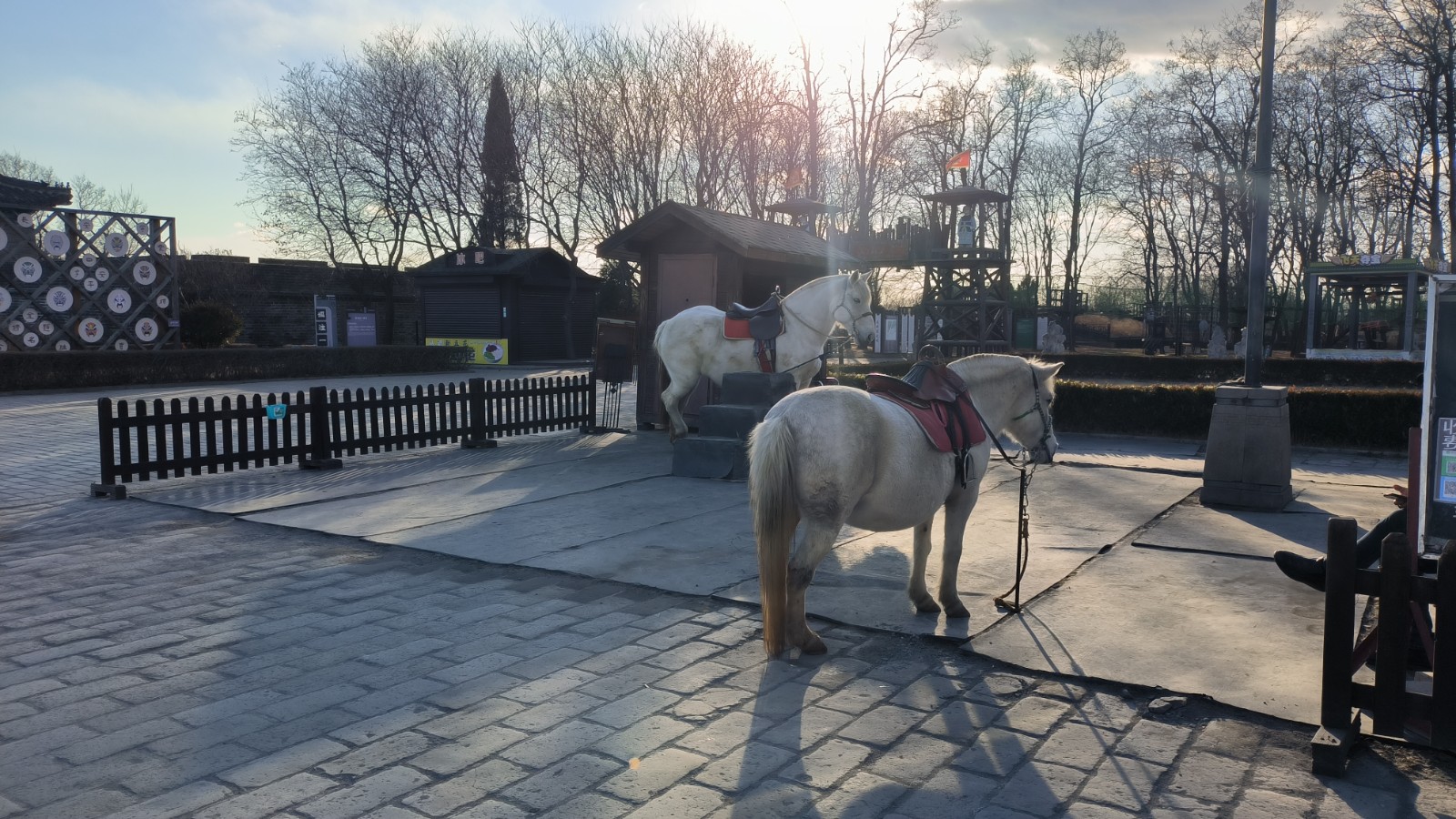 /Upload/Product/95ef41e78bc34410a7891146654ed888.jpg?width=272&height=203&bgcolor=fff